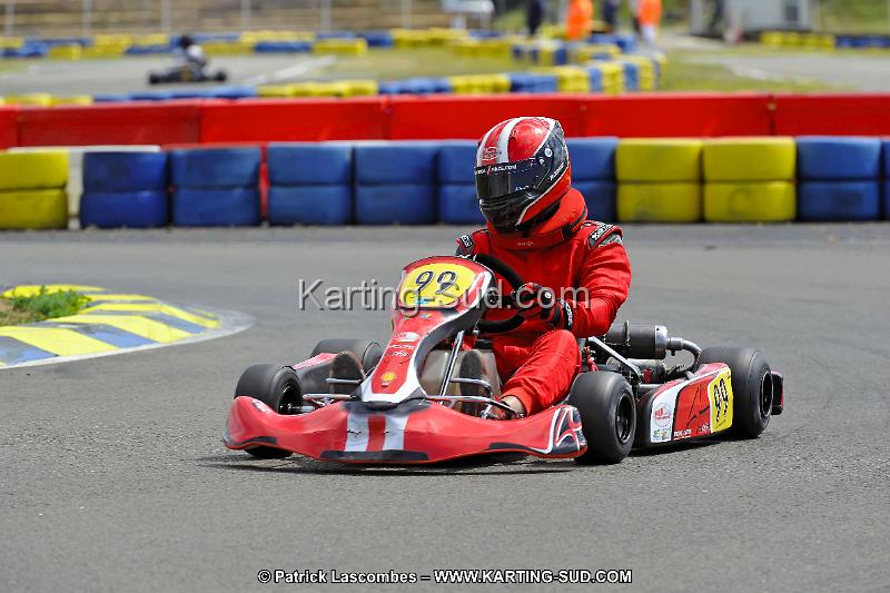 DSC_ (1555).jpg
